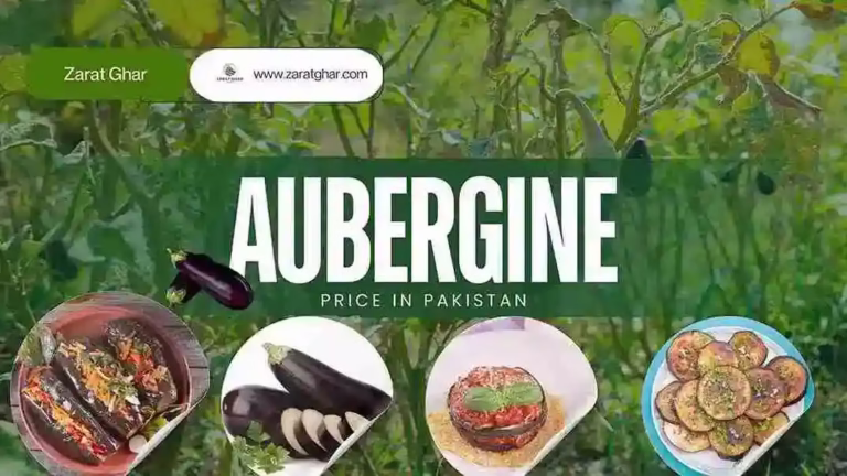 Aubergine Price