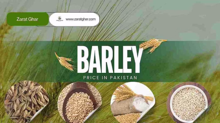 Barley Rate