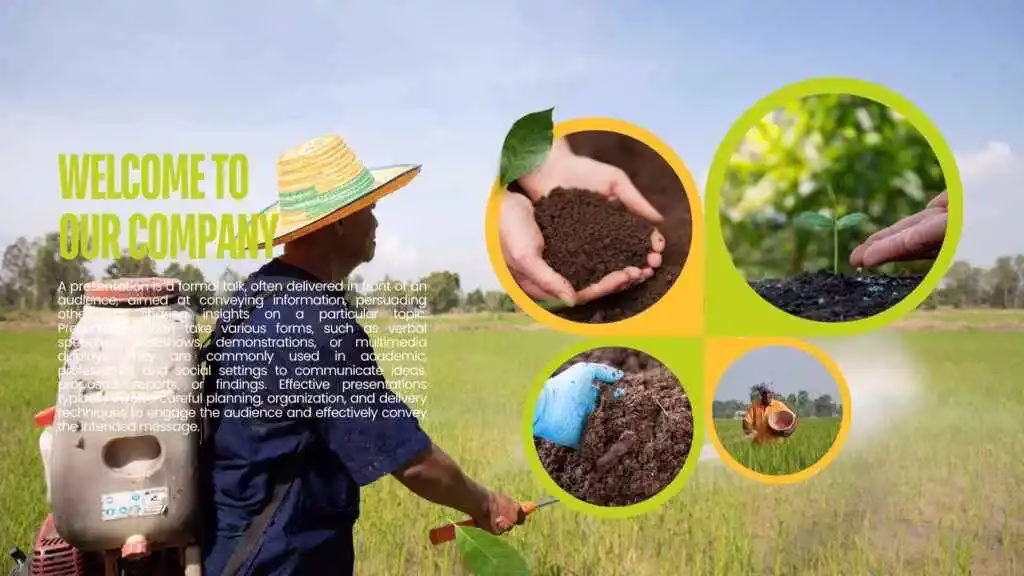 DAP Fertilizer