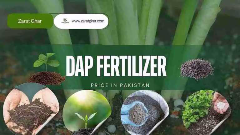 DAP Fertilizer price
