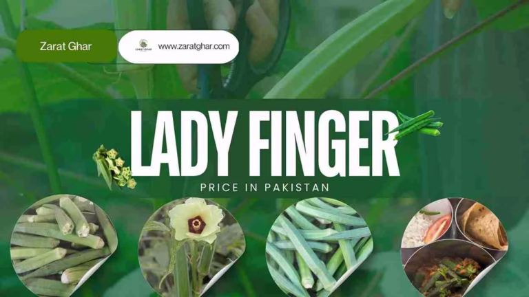 Lady Finger Price
