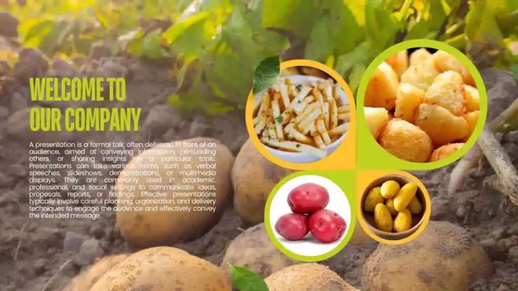 Potato Price Today