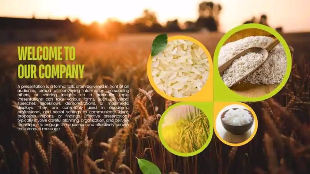 Rice Rate in Pakistan