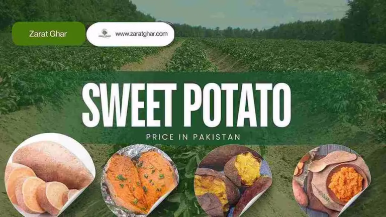 Sweet Potato Price