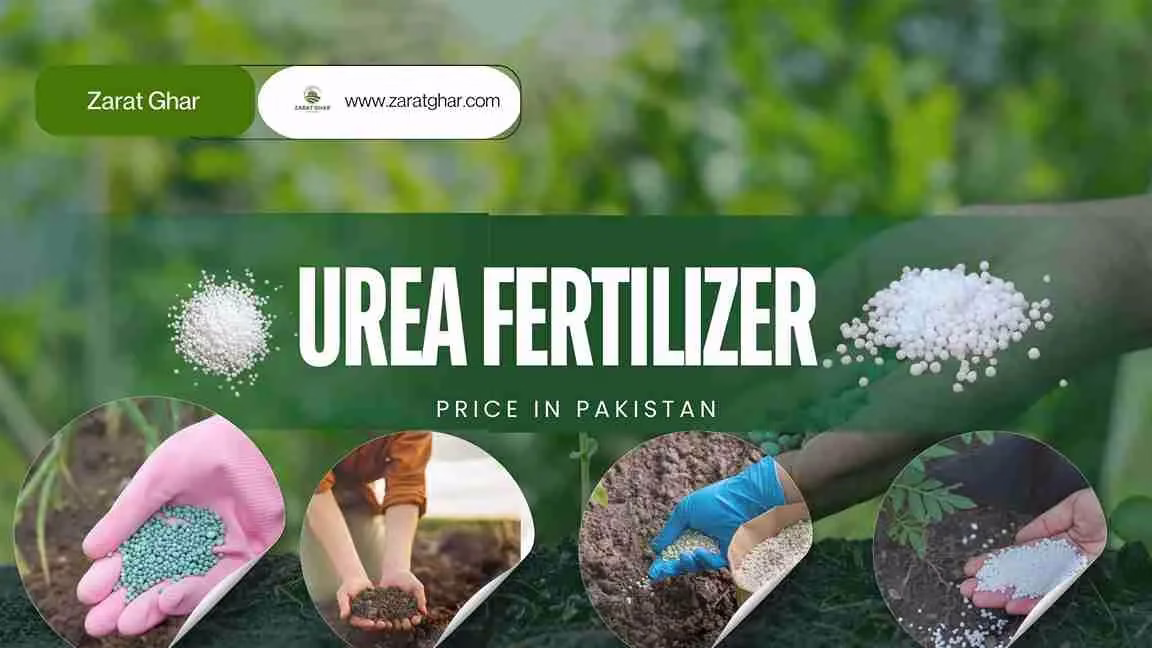 Urea Fertilizer Price