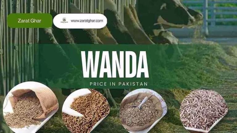 Wanda Rate