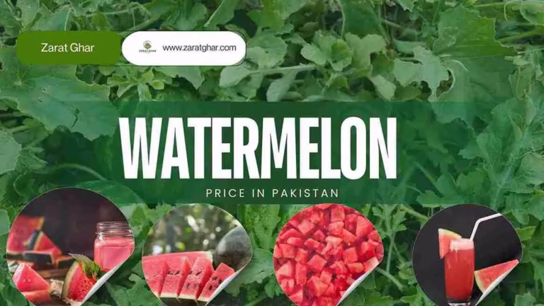 Watermelon Price