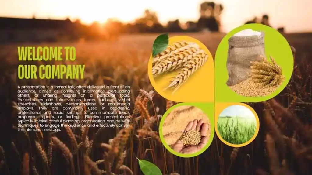 Wheat Rate Today