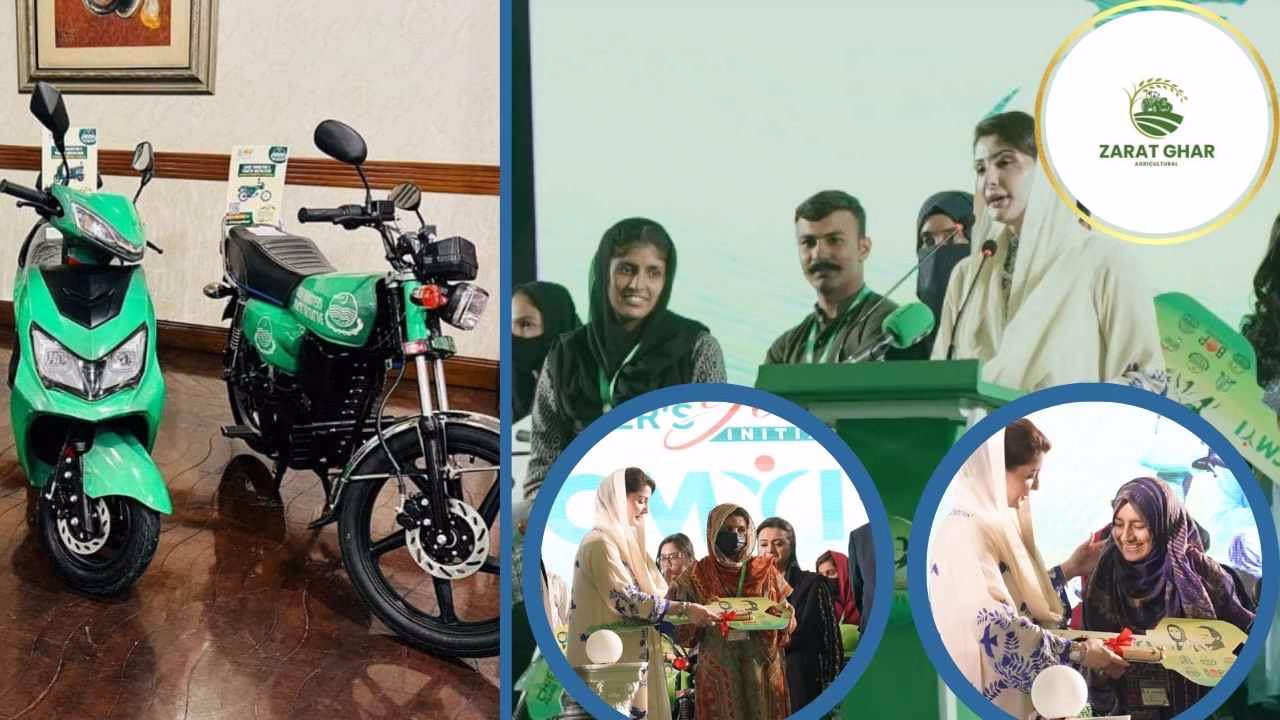 CM Punjab Free E-Bike Registration 2025 for Students New Update