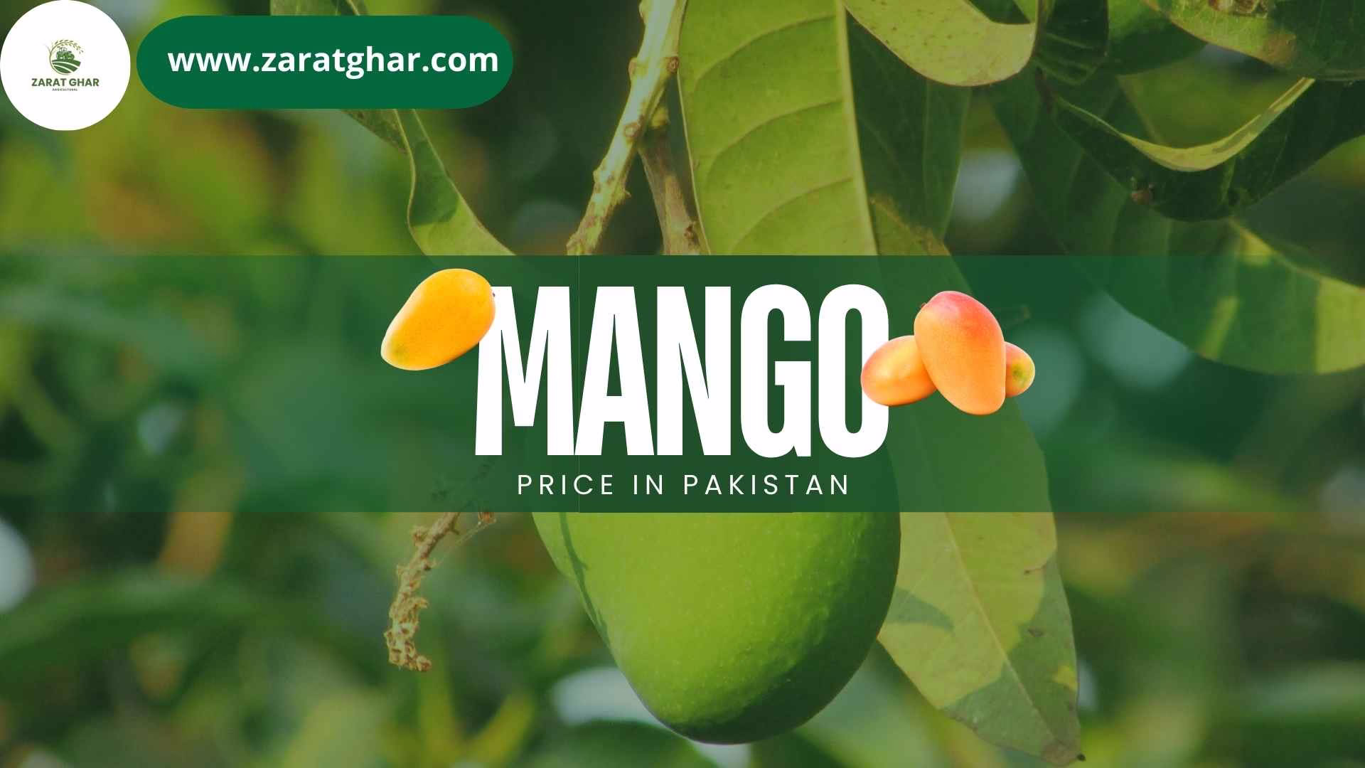 Mango Price in Pakistan