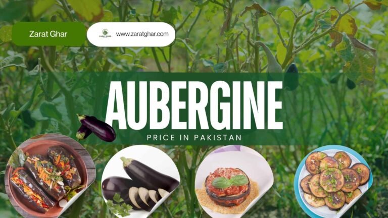 Aubergine price