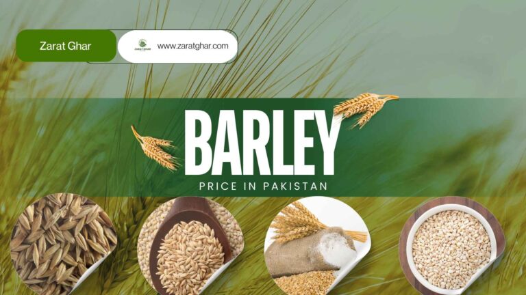 Barley Rate