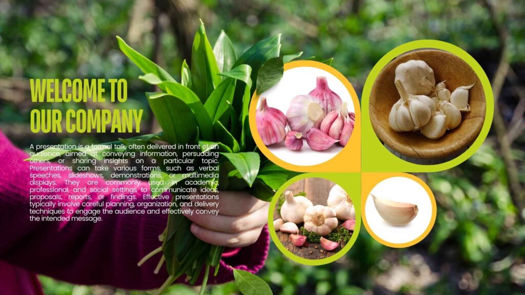 Garlic Farming Profit in Pakistan