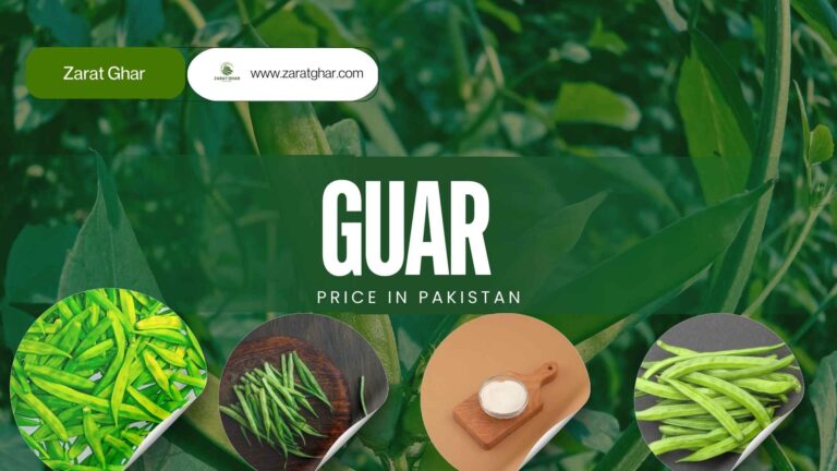 Guar Rate in Pakistan