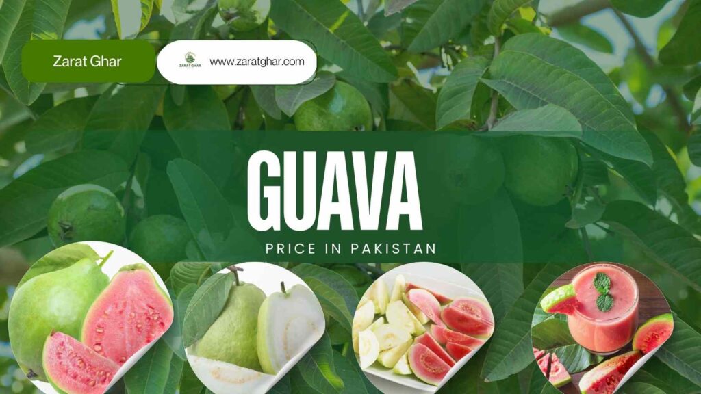 Guava Price