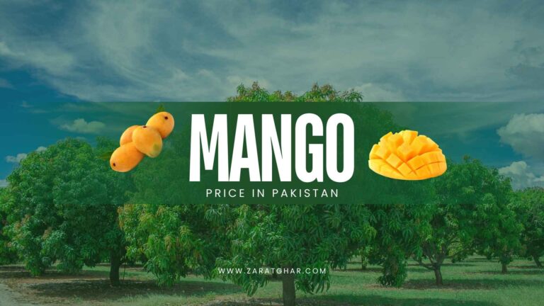 Mango Price in Pakistan