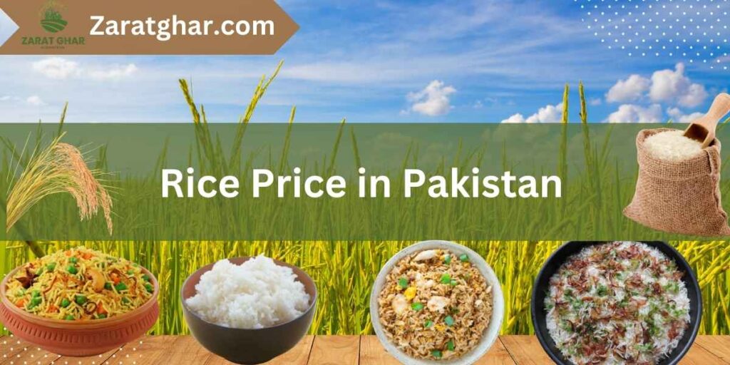 Rice Rate in Pakistan