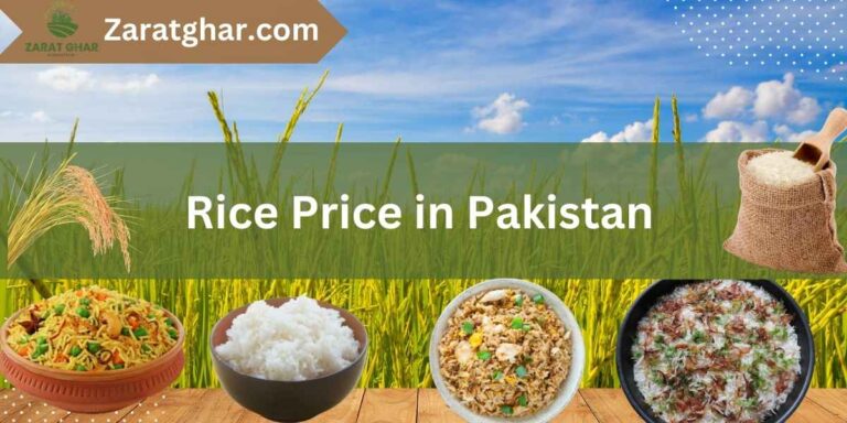 Rice Rate in Pakistan