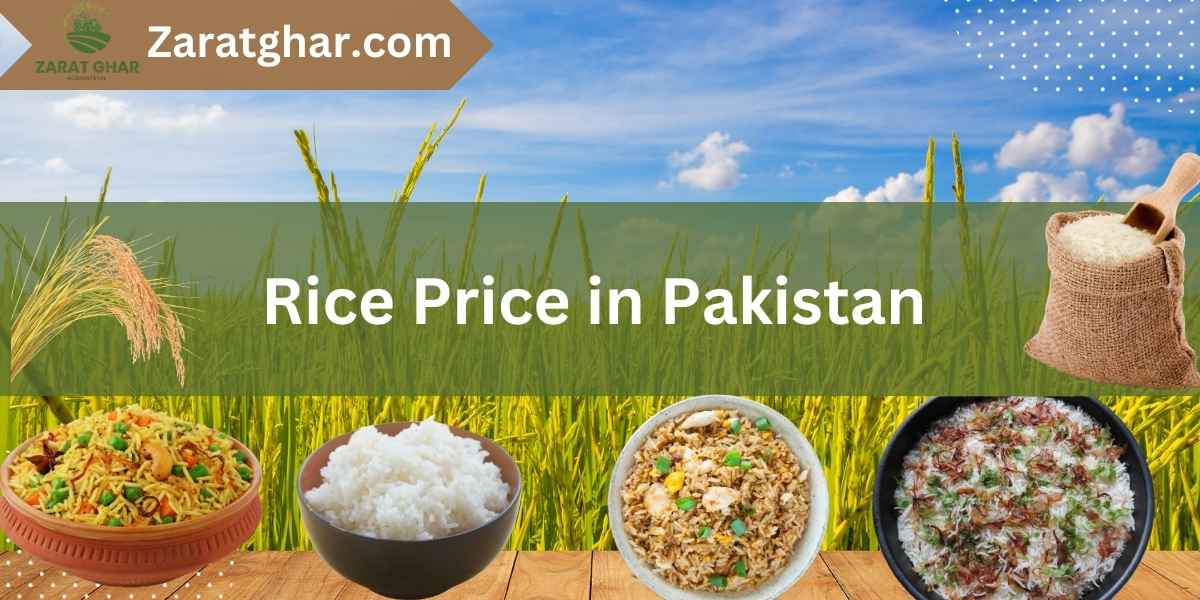 Paksitan Rice Rice Rate in Pakistan - July 18, 2026 - Zarat Ghar