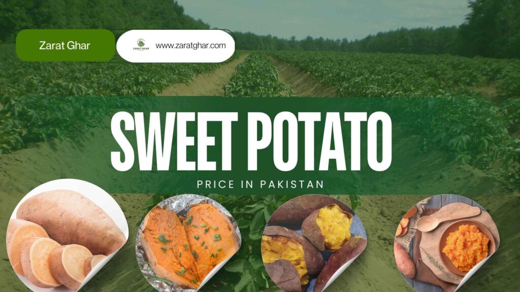 Sweet Potato Price