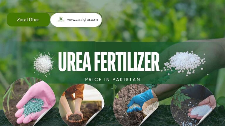 Urea Fertilizer Price