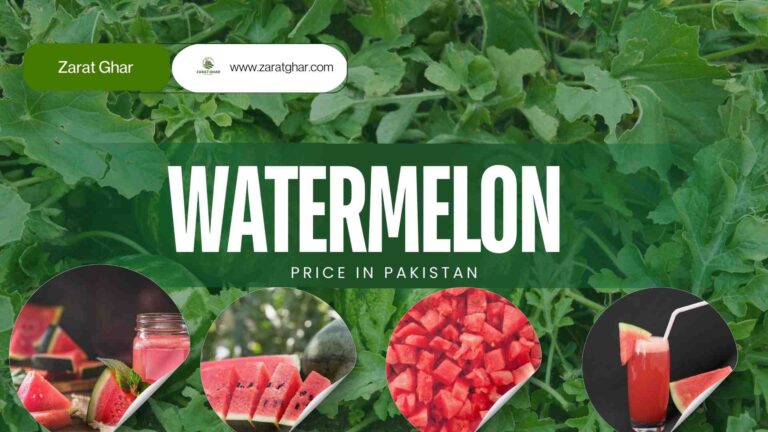 Watermelon Price