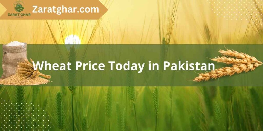 Wheat Price in Pakistan