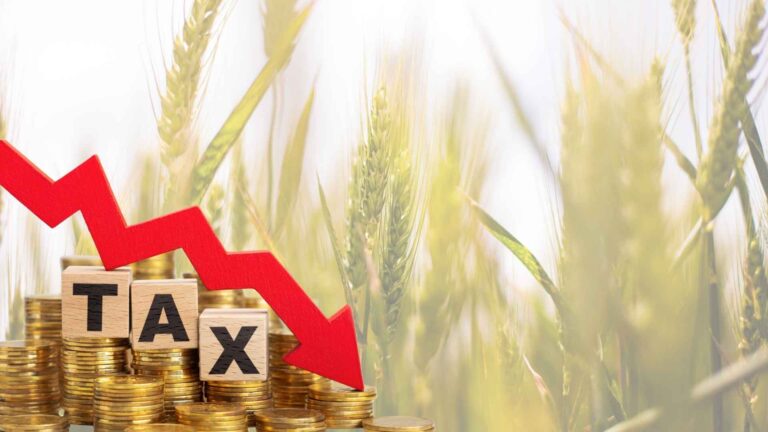 Sindh Agricultural Income Tax 2025