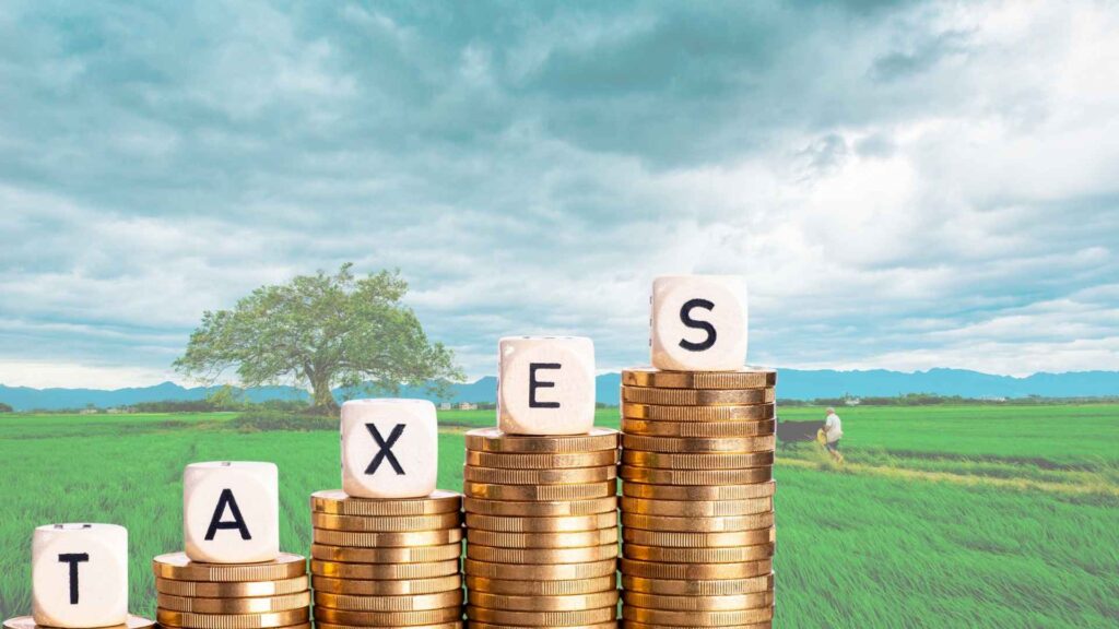 Sindh Agricultural Income Tax 2025