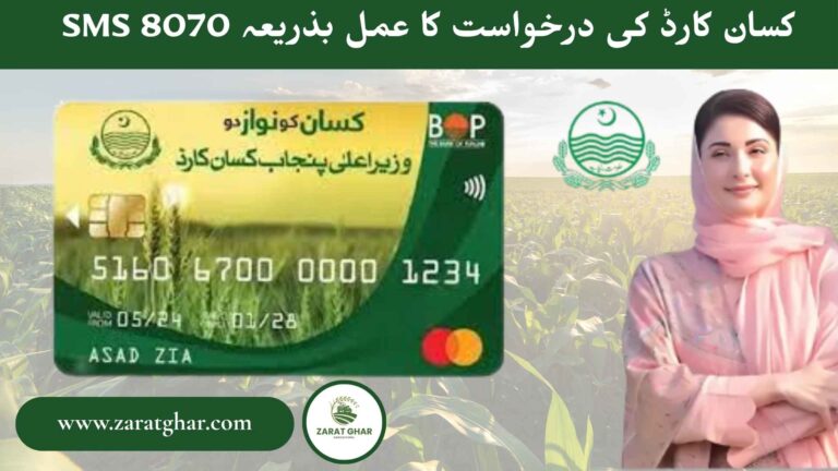 CM Punjab Kissan Card
