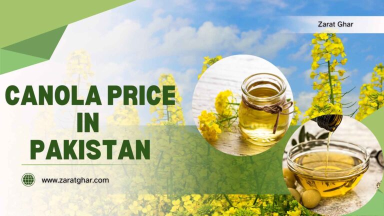 Canola Price