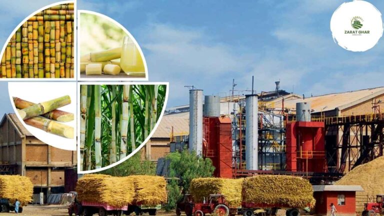 CCP issues notice to 10 sugar mills