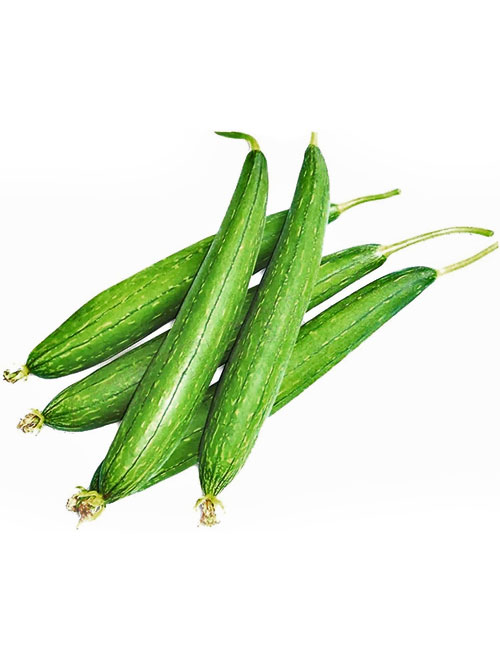 Sponge Gourd