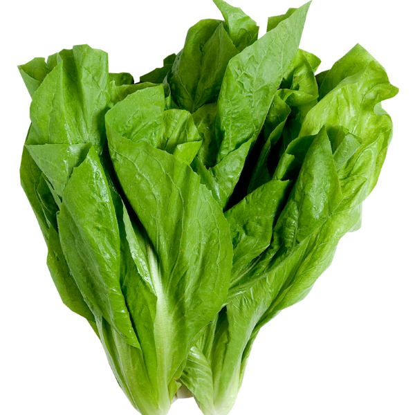 Spinach