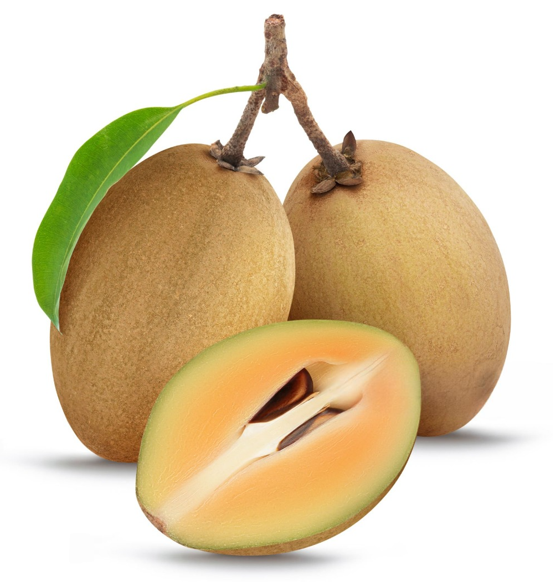 Sapodilla