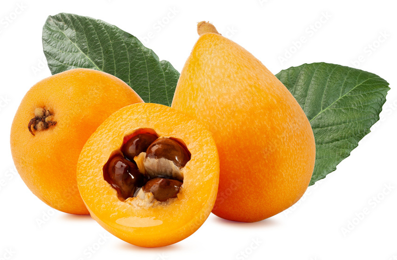 Loquat
