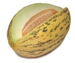 Cantaloupe
