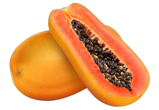 Papaya