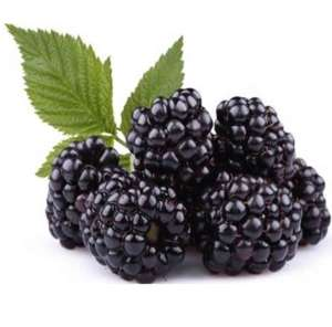 Blackberries