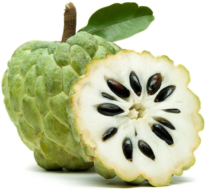 Custard Apple