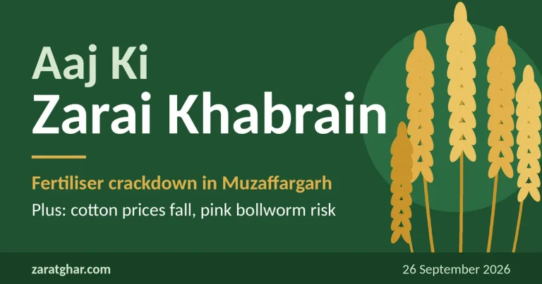 Zarat Ghar agriculture news Pakistan 26 September 2026, fertiliser crackdown in Muzaffargarh and cotton market update.