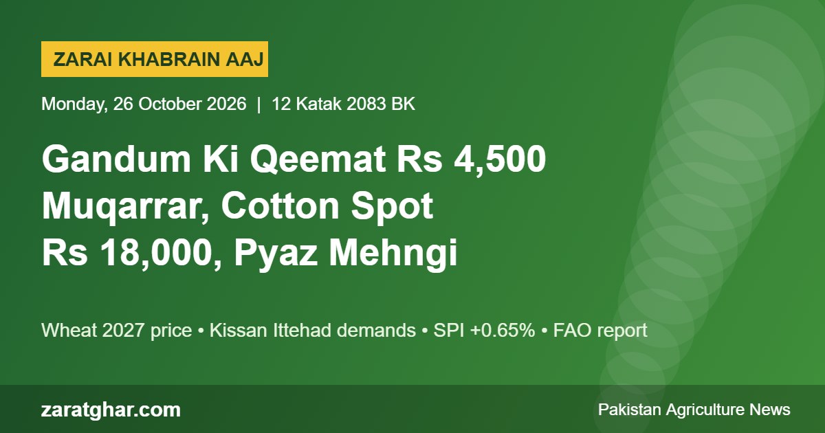 Agriculture news Pakistan 26 October 2026 – wheat Rs 4,500 price, cotton spot Rs 18,000, onion prices