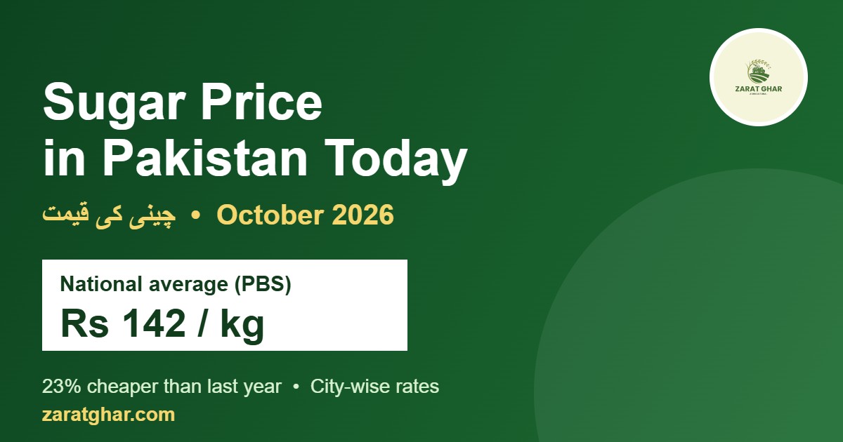 Sugar price in Pakistan today – national average Rs 142 per kg (October 2026)