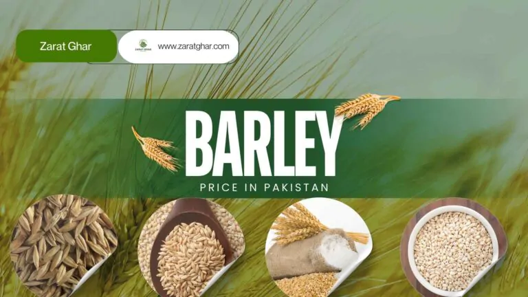 Barley Rate