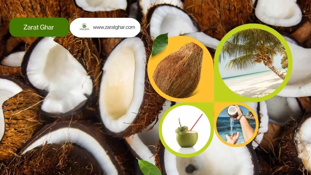 The Season of Growing Coconuts in Pakistan