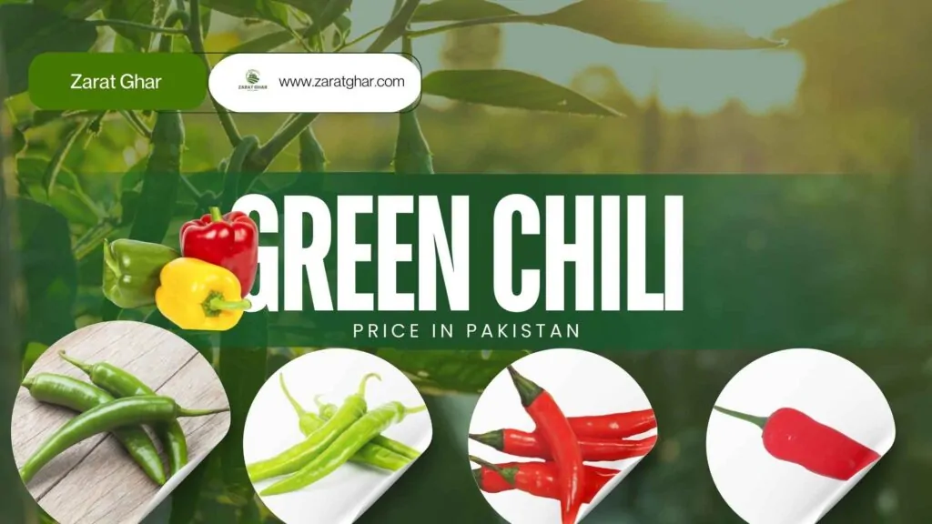 Green Chili Price