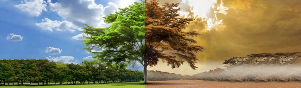 Pakistan Budget 2025-26 Impact On Agriculture