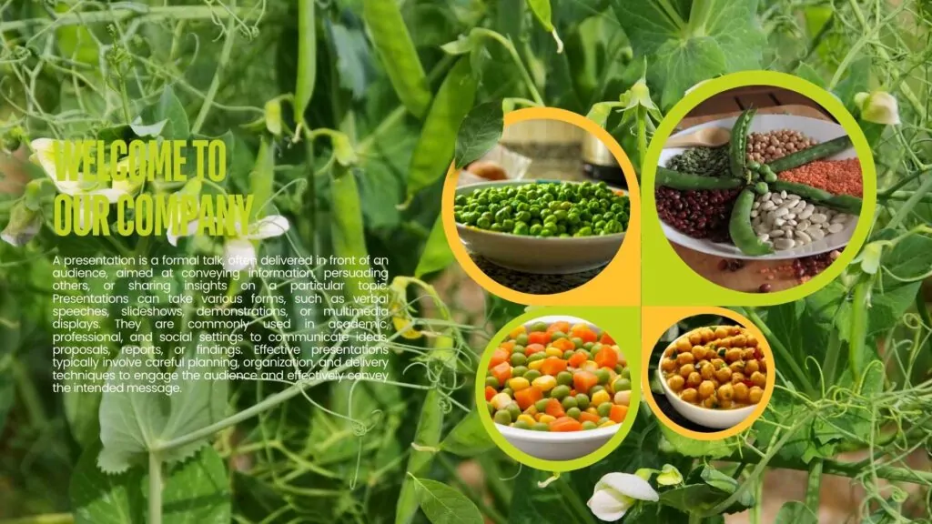 Green Peas Growing Season is Pakistan