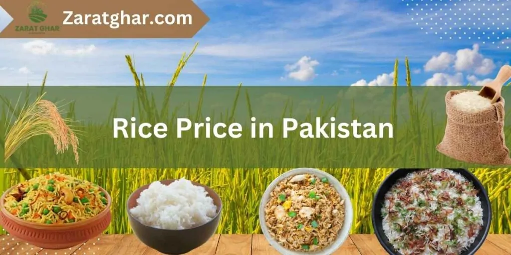 Rice Rate in Pakistan