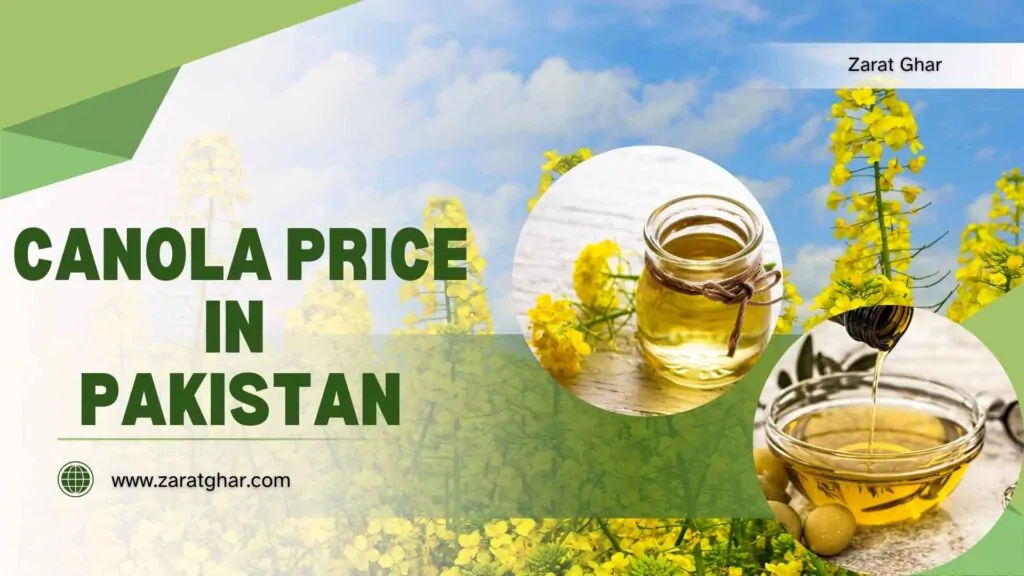Canola Price
